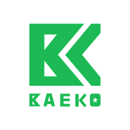 BAEKO Logo